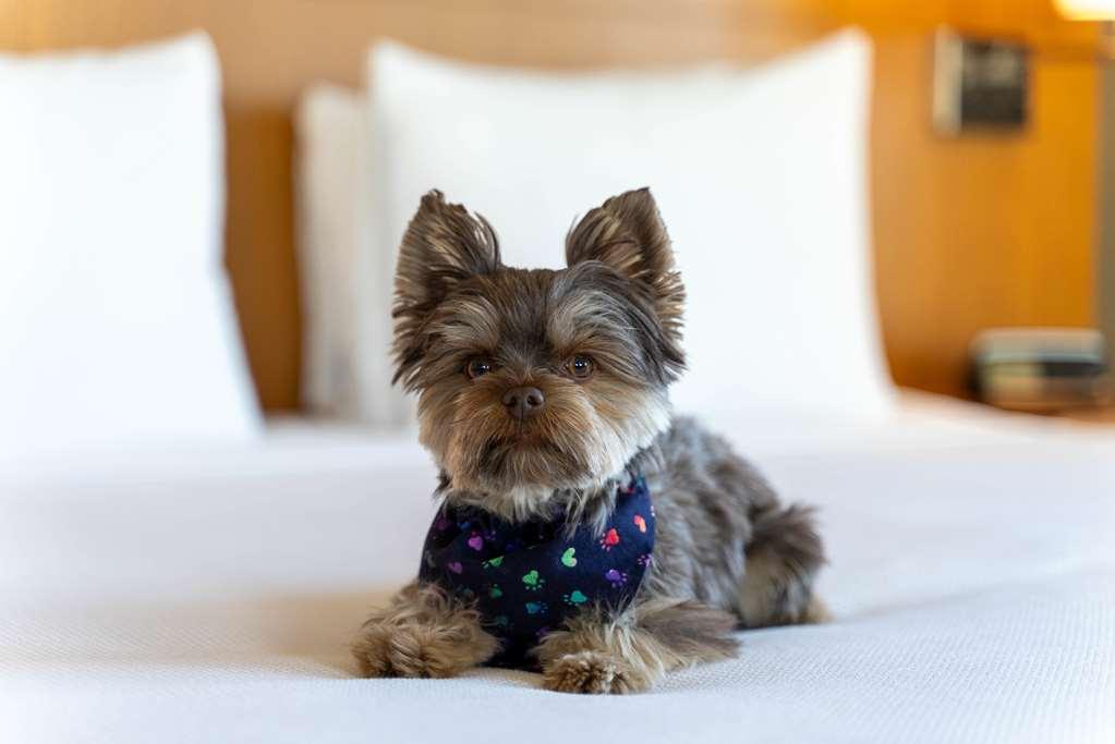 Hotel Hyatt Place